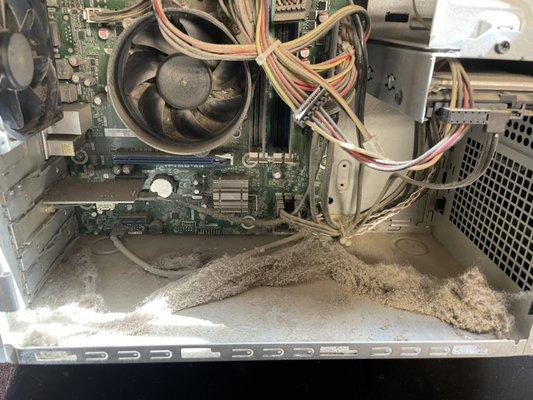 Get that pc cleaned now.