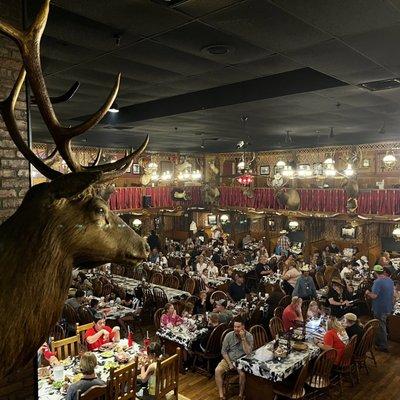 Upstairs dinning. Food was great. Waited about a hour but worth the Waite. Steak was delicious!