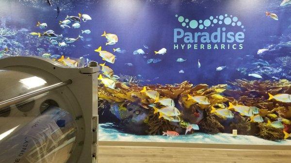 The underwater mural in our chamber room adds to the relaxing atmosphere and is a fun photo opportunity for patients and their families.