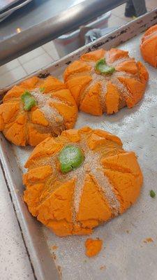 Pumpkin filled Concha