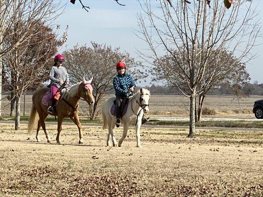 Horses on the Richard Martin Trail