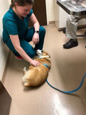 Our staff gives the best belly rubs.