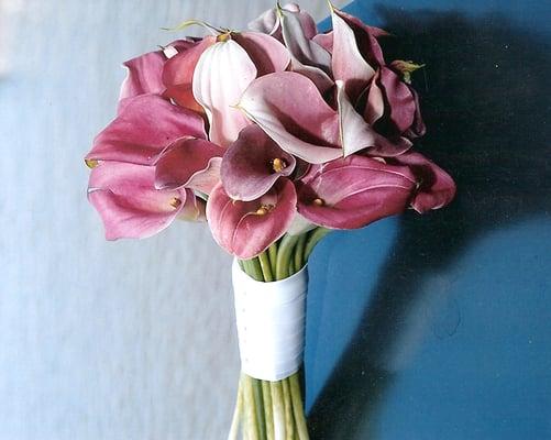 Pink Calla Lillies