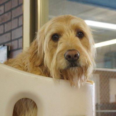 Play structures indoors offer mental stimulation, even on rainy, cold days