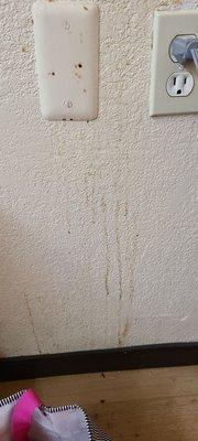 Unknown stain on wall