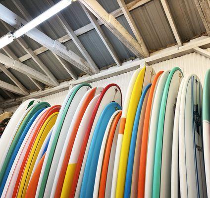 Custom Walden Surfboards