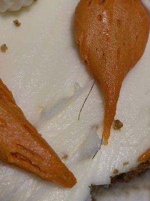 Exposed hairs under the Carrot frosting!