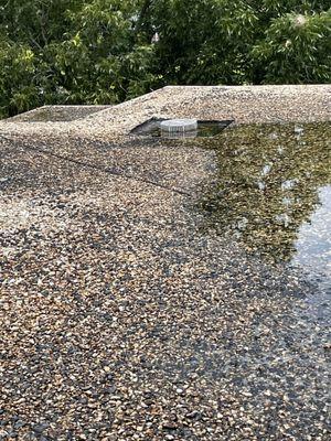 Flat roof with ponding water on a commercial job