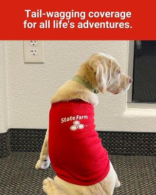 Sammy Martinez - State Farm Insurance Agent