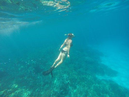 Bold Earth students snorkeling in Kona, Hawaii