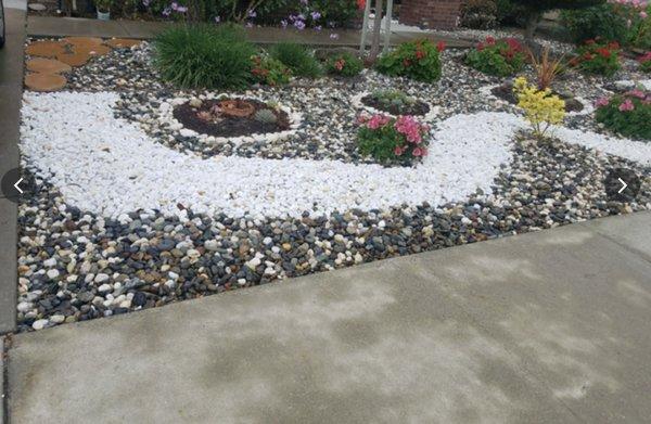 Drought Resistant Landscape