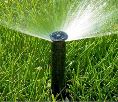 Sprinkler Head Replace