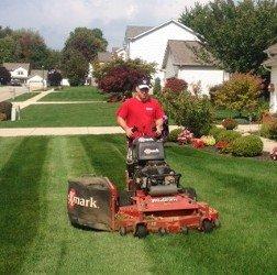 Landscaping & Lawn Care