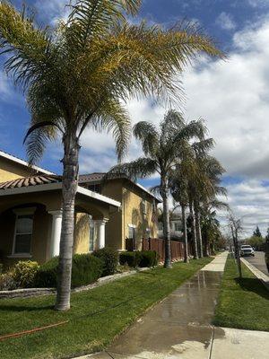 Gutter cleaning