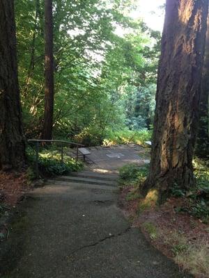 Wheelchair path ends at the steps.