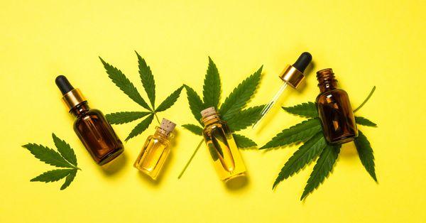 Cannabis leaves with oils