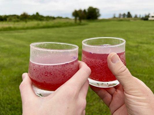 Our welcome cocktail as we explore the farm before dinner.