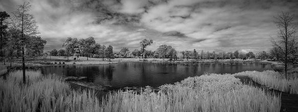 Houston Botanic Garden