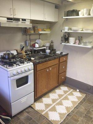 All kitchens are set up somewhat close to this one. Small but full size