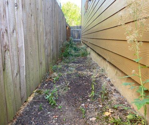 Property yard before landscaping.