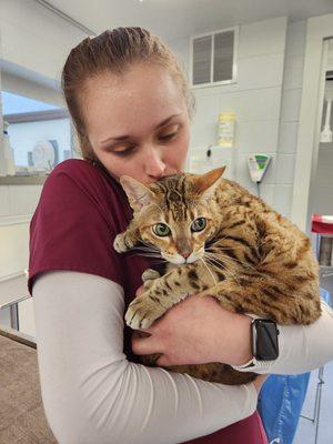 Technician Morgan snuggling up one of her favorite patients Diego before his Solensia injection