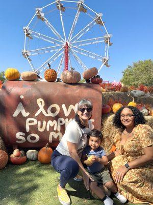 Cute picture prop "I love pumpkins so much" - Austin Pumpkin Festival on Saturday 10/05/2024