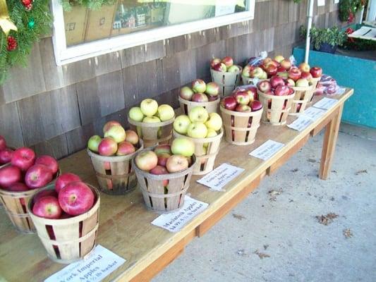 Fall apple display