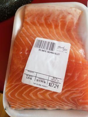 Salmon