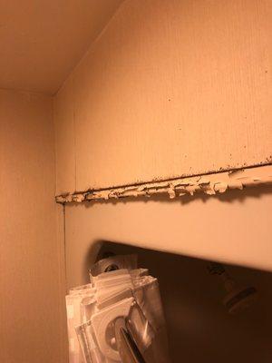 Peeling paint and what looks to be black mold in the trim above the shower