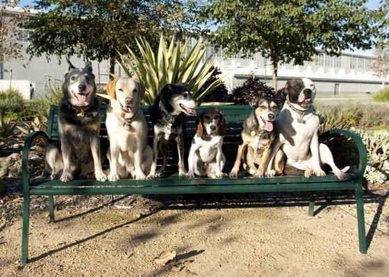 Group photo at playa vista.