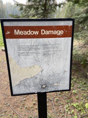 Make sure you don't walk too much onto the meadow.