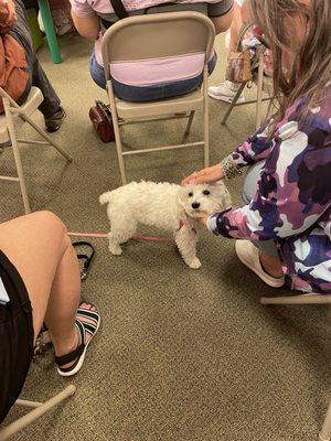 Piglet's sisters Phoebe and Zoe traveled from Connecticut to the signing and fundraiser.