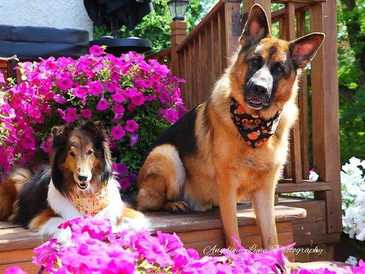 Fall Bandanas