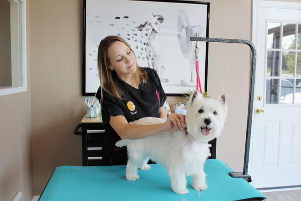 Max couldn't be happier with his favorite groomers at Healthy Hound Playground.