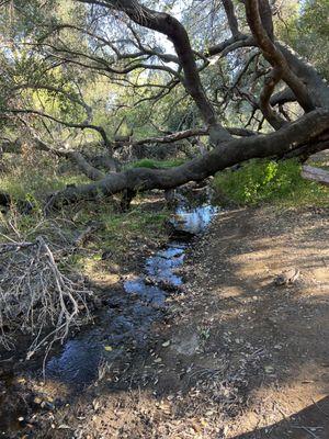 Oak Canyon Community Park