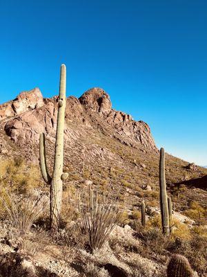 Bikes Of Scottsdale