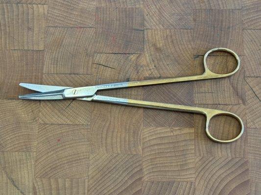 Metzenbaums.  Surgical scissors.