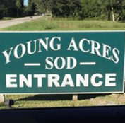 Young Acres Sod