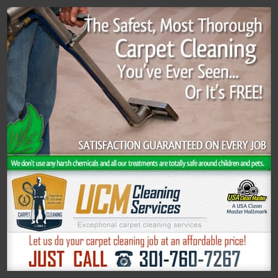 Carpet Cleaning