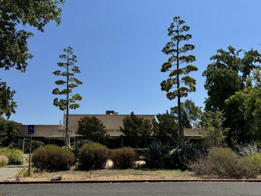 Sonoma Veterans Memorial Hall