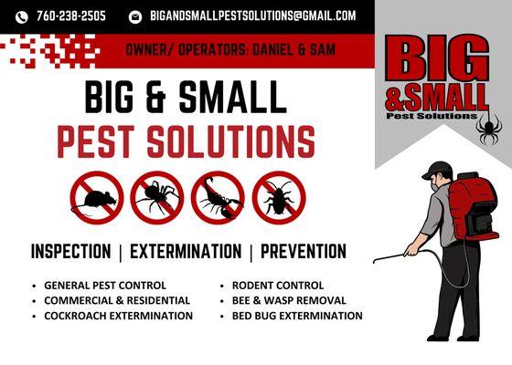 Big & Small Pest Solutions