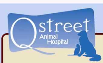 Q Street Animal Hospital