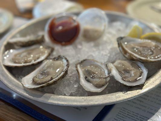 Oysters