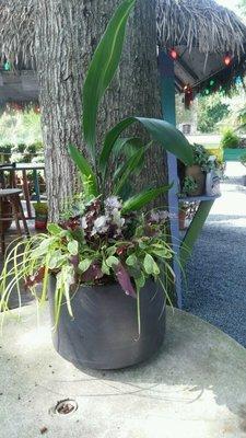 Ceramic pot filled with perennials.