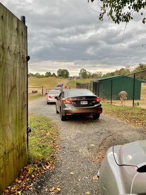 The line to go through the "safari." Not worth the money or wait.