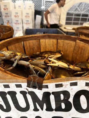 Jumbo Crabs