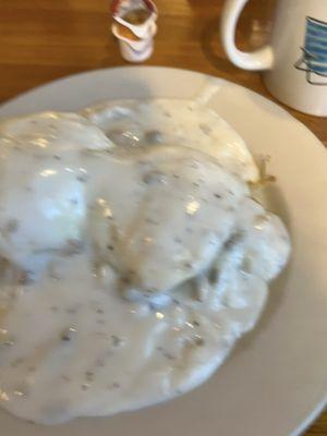 2 Eggs, Full Biscuits and Gravy w/ Hash browns