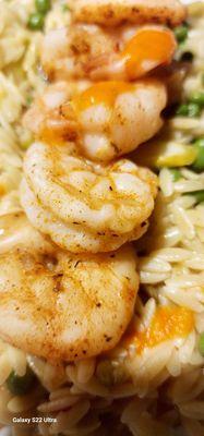 SHRIMP WITH LEMON ORZO