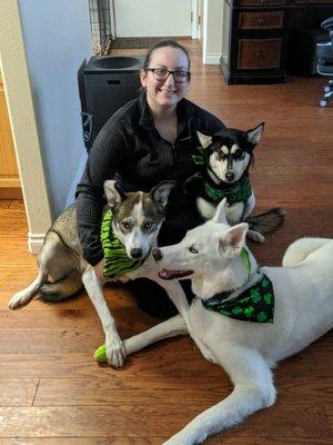 My huskies right after a grooming