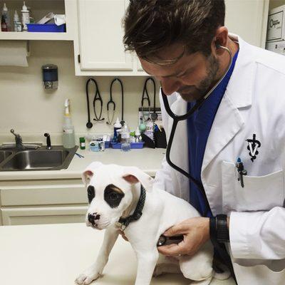 Dr. Chad A. Malpass Westchester Veterinary Hospital